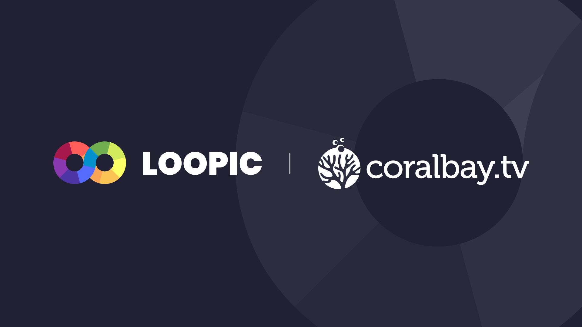 Loopic coralbay.tv press release cover illustration
